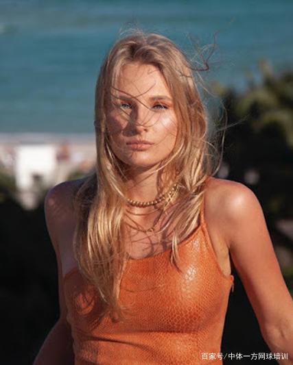 速度红利 速度红利