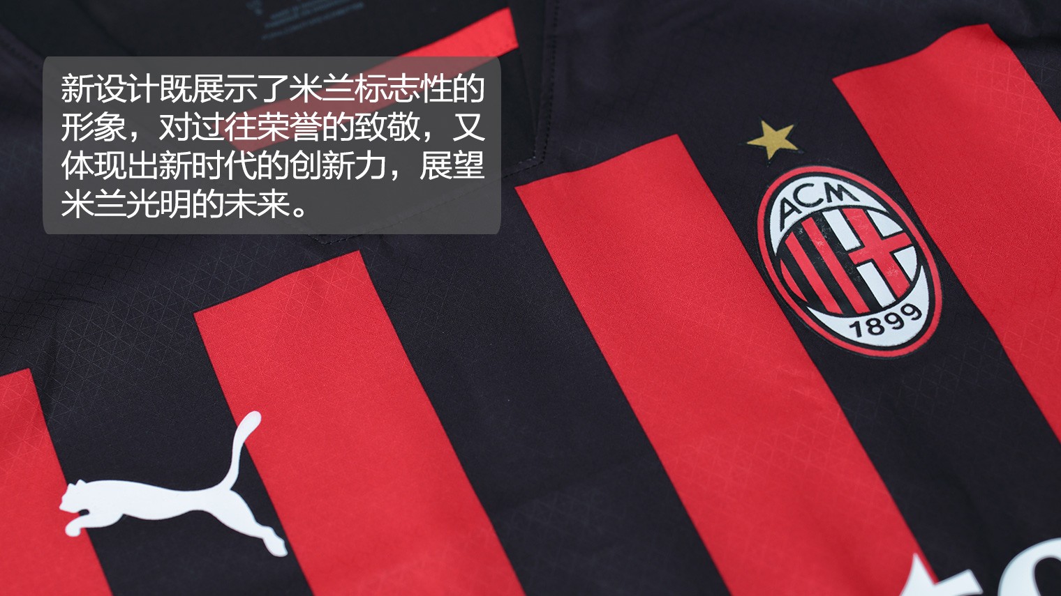 泳锦标赛 泳锦标赛